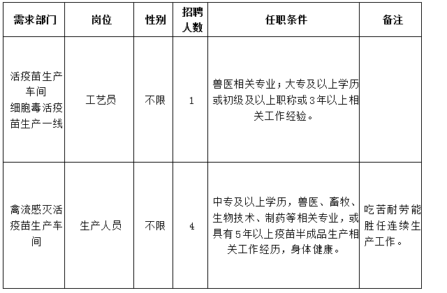 公司招聘信息