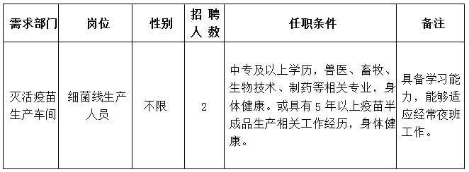 公司招聘信息