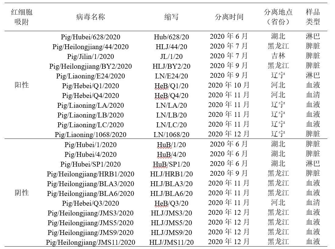 我国田间发现低致死率非洲猪瘟基因II型自然变异流行株